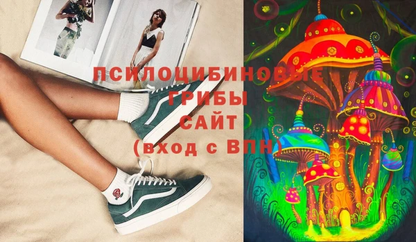 шишки Гусь-Хрустальный