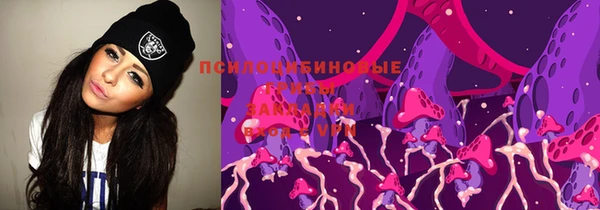 шишки Гусь-Хрустальный