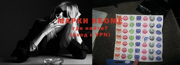 шишки Гусь-Хрустальный