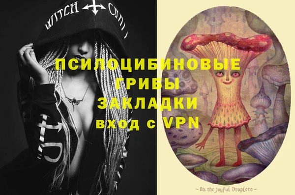 марки lsd Горняк