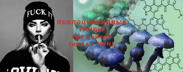 марихуана Гусиноозёрск