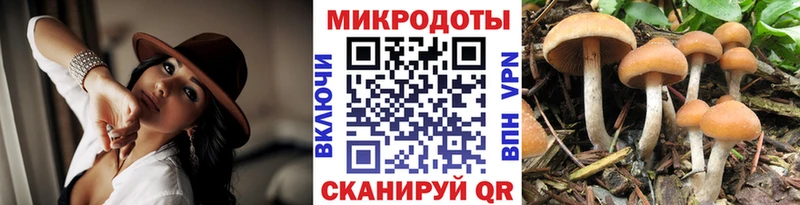 Галлюциногенные грибы MAGIC MUSHROOMS  Купить закладки  Лиски 